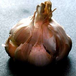 garlic | When in doubt, take pictures of garlic. | liz west | Flickr