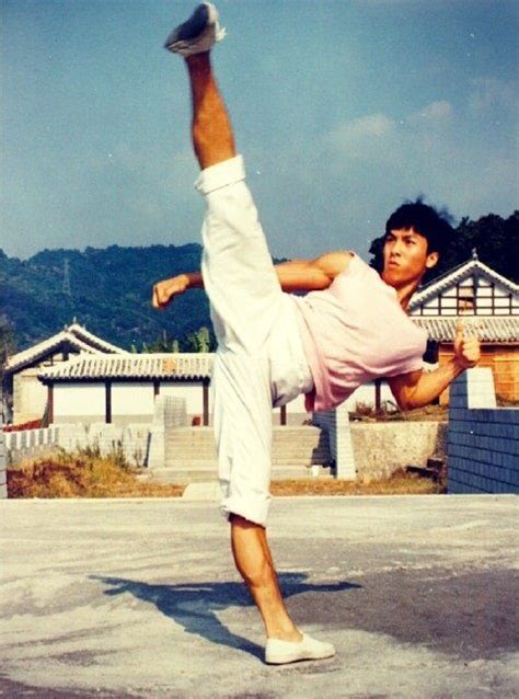 Young Donnie Yen...that kick though | Donnie yen, Martial arts, Chinese ...