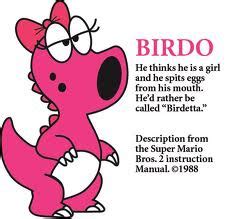 Video Game Blog: Birdo is a Boy!