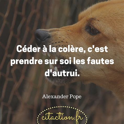 Céder à la colère, c'est prendre sur soi les fautes d'autrui. Alexander Pope | Colère, Pensées ...