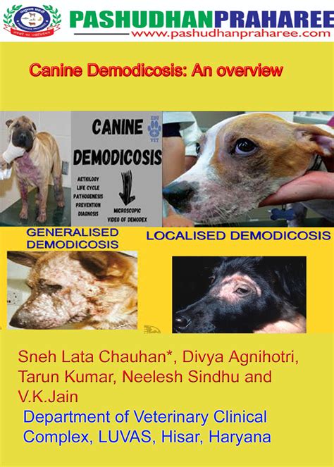 Canine Demodicosis: An overview | Pashudhan praharee