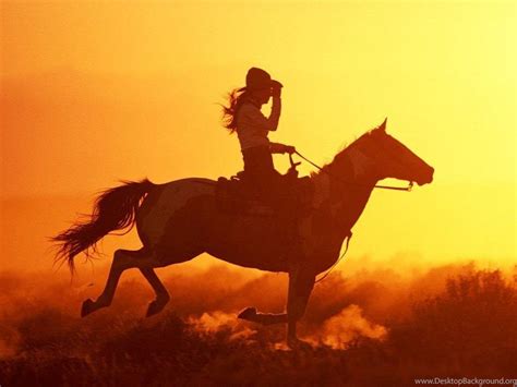 Cowboy Horse Wallpapers - Top Free Cowboy Horse Backgrounds ...