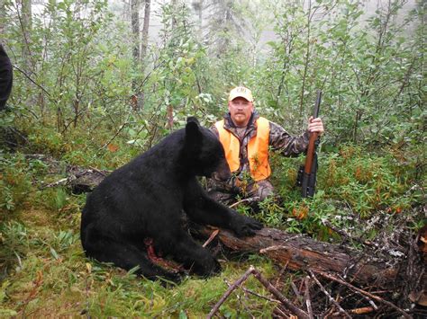 Black Bear Lodge Blog: Black Bear Hunting