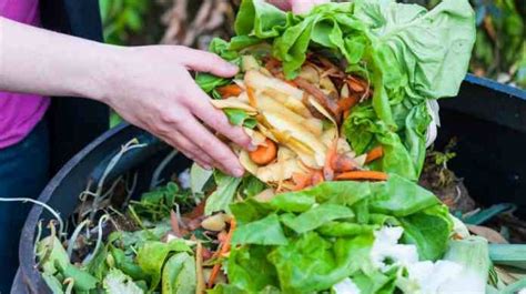 Bioteknologi: Pemanfaatan Sampah Rumah Tangga Perkotaan