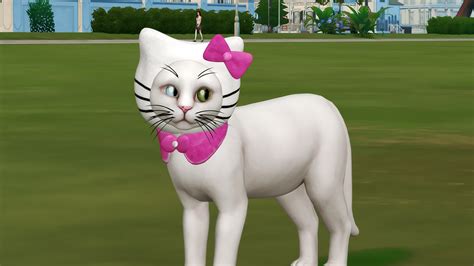 FUNCTIONAL LADY PET COZY + HELLO KITTY HAT | REDHEADSIMS - CC