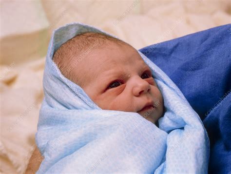 Face of a healthy newborn baby boy - Stock Image - M815/0238 - Science Photo Library