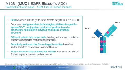 Sutro Biopharma (STRO) Investor Presentation - Slideshow (NASDAQ:STRO) | Seeking Alpha