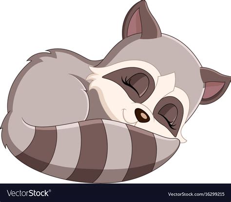 Baby Raccoon Cartoon