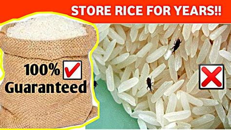 BEST & SIMPLE WAY TO STORE RICE | HOW TO STORE RICE FOR LONG TIME | HOW ...