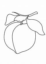 Peach coloring Pages – Artofit sketch template