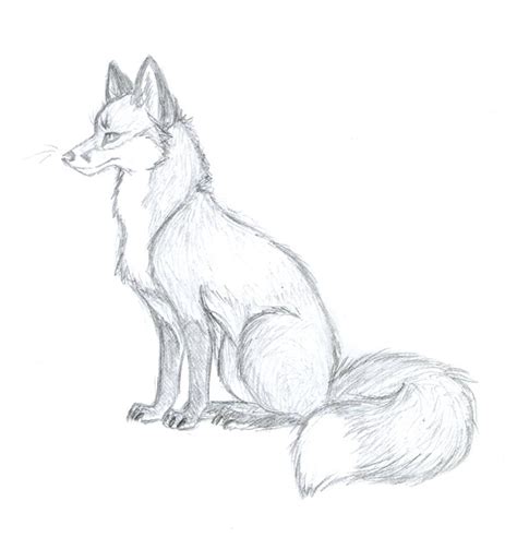 Easy Fox Sketch at PaintingValley.com | Explore collection of Easy Fox Sketch