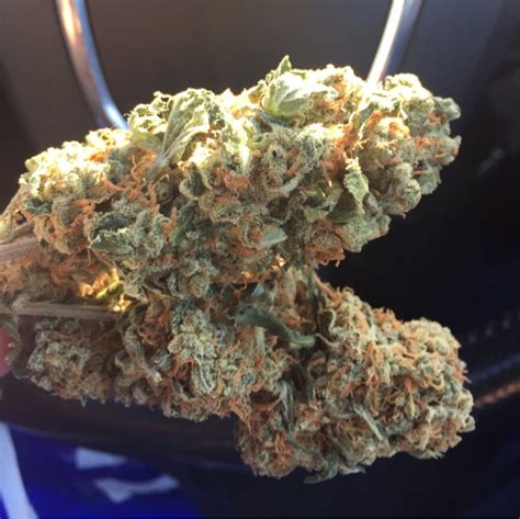 Tangerine Dream | buy marijuana online | buy weed online 164