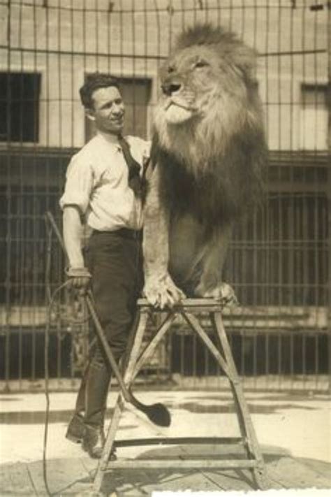 Lion Tamer | Old circus, Vintage circus, Vintage circus photos