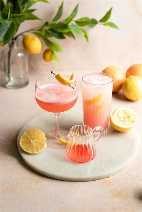 Campari Gin Fizz + Campari Gin Sour - Well Seasoned Studio