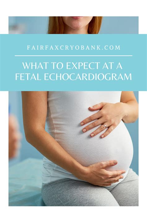 What to Expect at a Fetal Echocardiogram | Echocardiogram, Fetal, New moms