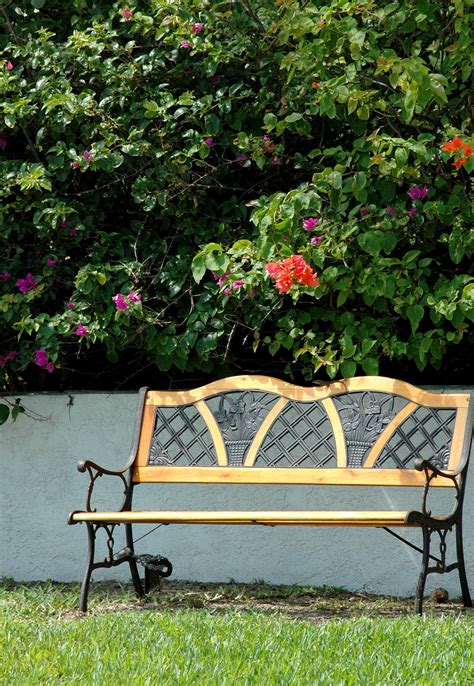 Garden Bench Flowers Free Stock Photo - Public Domain Pictures