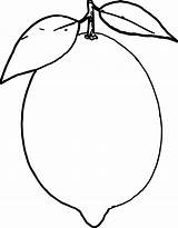 Lemon Fruit Coloring Pages Sketch Page sketch template