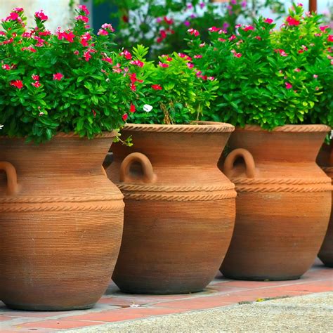 Garden Pots Recolours Garden Pots Sims 4 Plant Decor - vrogue.co