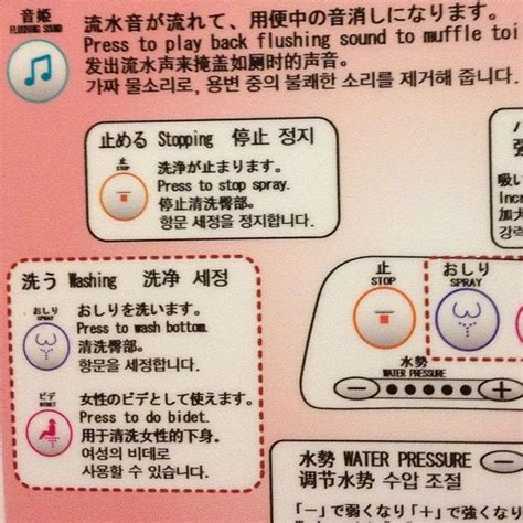 How to use a Japanese toilet... | Japanese toilet, Wash, Flushing