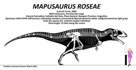 Giganotosaurus roseae