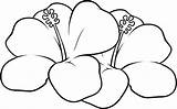 Hawaiian Flower Coloring Page  Home sketch template