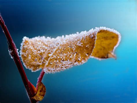 The Importance of Winter Watering - Timberline Landscaping