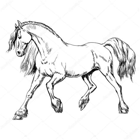 Horse Outline Sketch at PaintingValley.com | Explore collection of ...