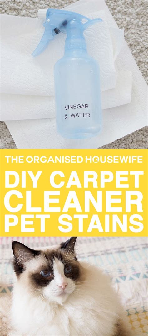 Homemade Carpet Cleaner - Pet Stains | Carpet cleaning pet stains, Diy carpet cleaner, Cleaning ...