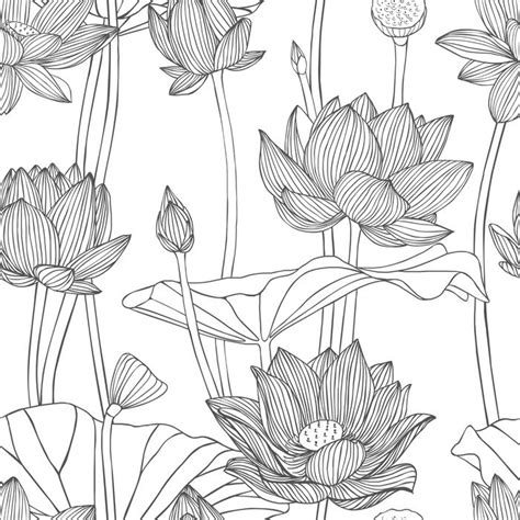 Lotus Flower Art, Flower Art Drawing, Lotus Art, Floral Drawing, Plant Drawing, Flower Wall ...