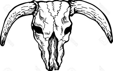 Texas Longhorn Drawing | Free download on ClipArtMag