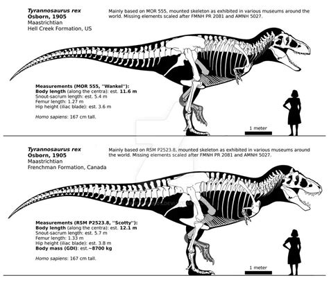 Tyrannosaurus rex