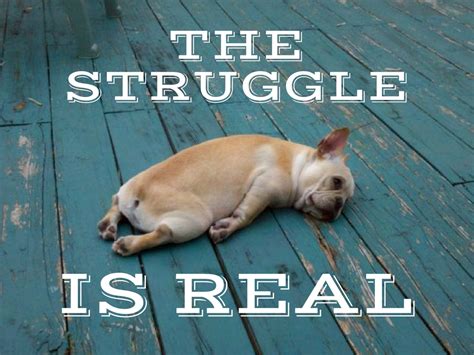 Credit Union Sales… the Struggle is Real! | SalesCU