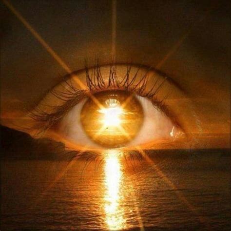 Sunset in Your Eye | Eyes, Eye art, Super human