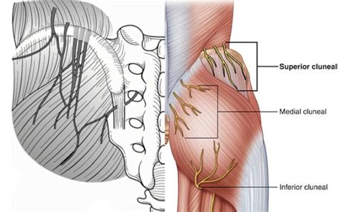 Sacroiliac Joint Pain Symptoms, Signs & Treatment