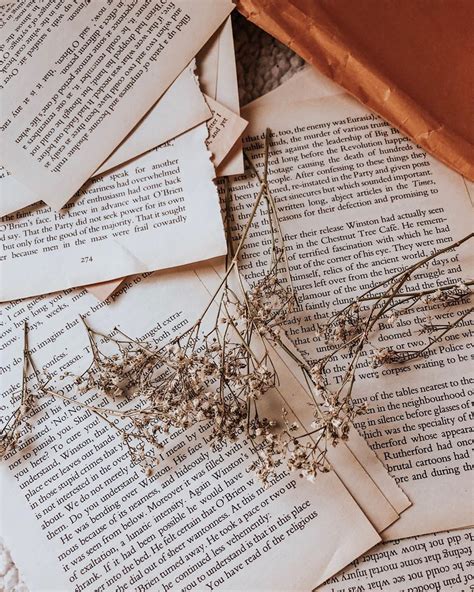 brittany ⋆ books & aesthetic on Instagram: “#cozyinaugust19 day 20 - loose book pages ⁣⁣ ⋆ ...