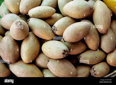 fresh sapodilla fruits Stock Photo - Alamy