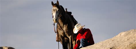 Brian Thomas Horsemanship – A kinder and gentler approach to horse ...