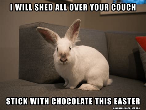 Chocolate Bunnies Don’t Shed – The Life and Times of Bunnies