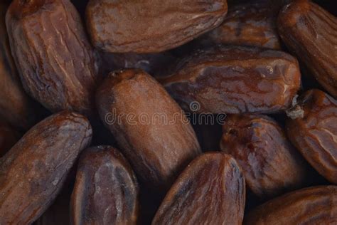 Dried Date Palm Fruits or Kurma, Ramadan Food Stock Photo - Image of islamic, eastern: 179921934