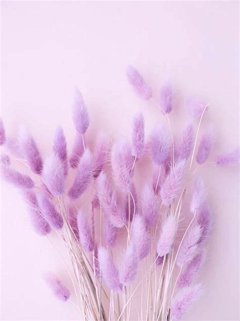 Violet Aesthetic, Lavender Aesthetic, Aesthetic Colors, Flower Aesthetic, Pastel Aesthetic ...