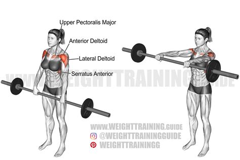 Barbell front raise exercise instructions and video | weighttraining.guide in 2021 | Barbell ...