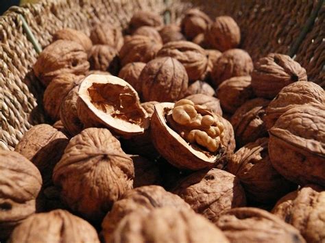 Free Images : food, produce, brown, nut, healthy, eat, shell, walnut, nutrition, vitamins ...