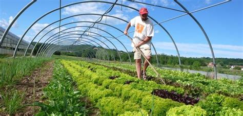 Possibilities of Improving Organic Farming in Turkey