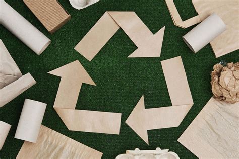 Paper recycling guide: Advantages and requirements › Evreka