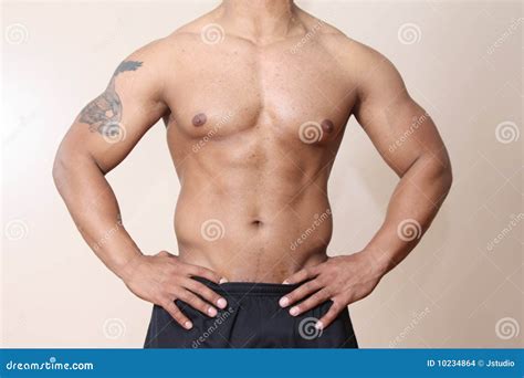 Muscular male body stock photo. Image of adult, chest - 10234864