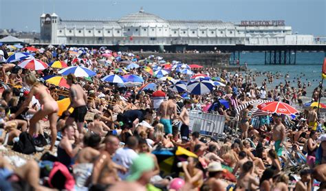 World's busiest beaches give new appreciation of Sunshine Coast