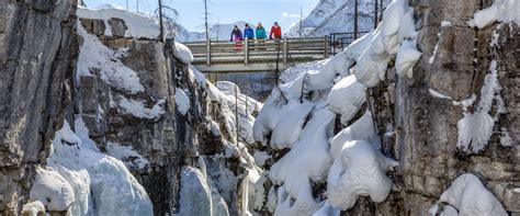 Snowshoeing to Marble Canyon - Banff Trail Riders