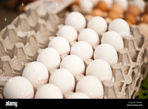 A fresh carton of 18 eggs aligned vertically Stock Photo - Alamy