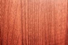 Maple Wood Background Free Stock Photo - Public Domain Pictures