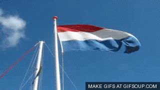 Dutch GIF - Find & Share on GIPHY